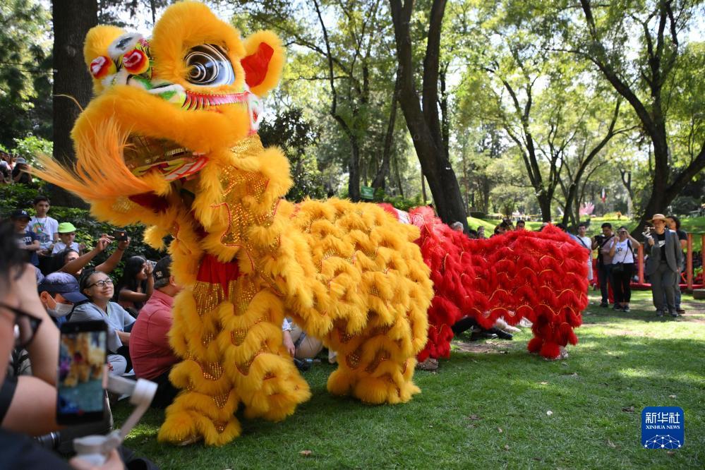 博一把白菜大全